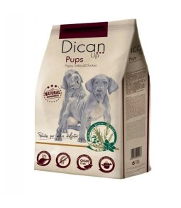 Dican Pups