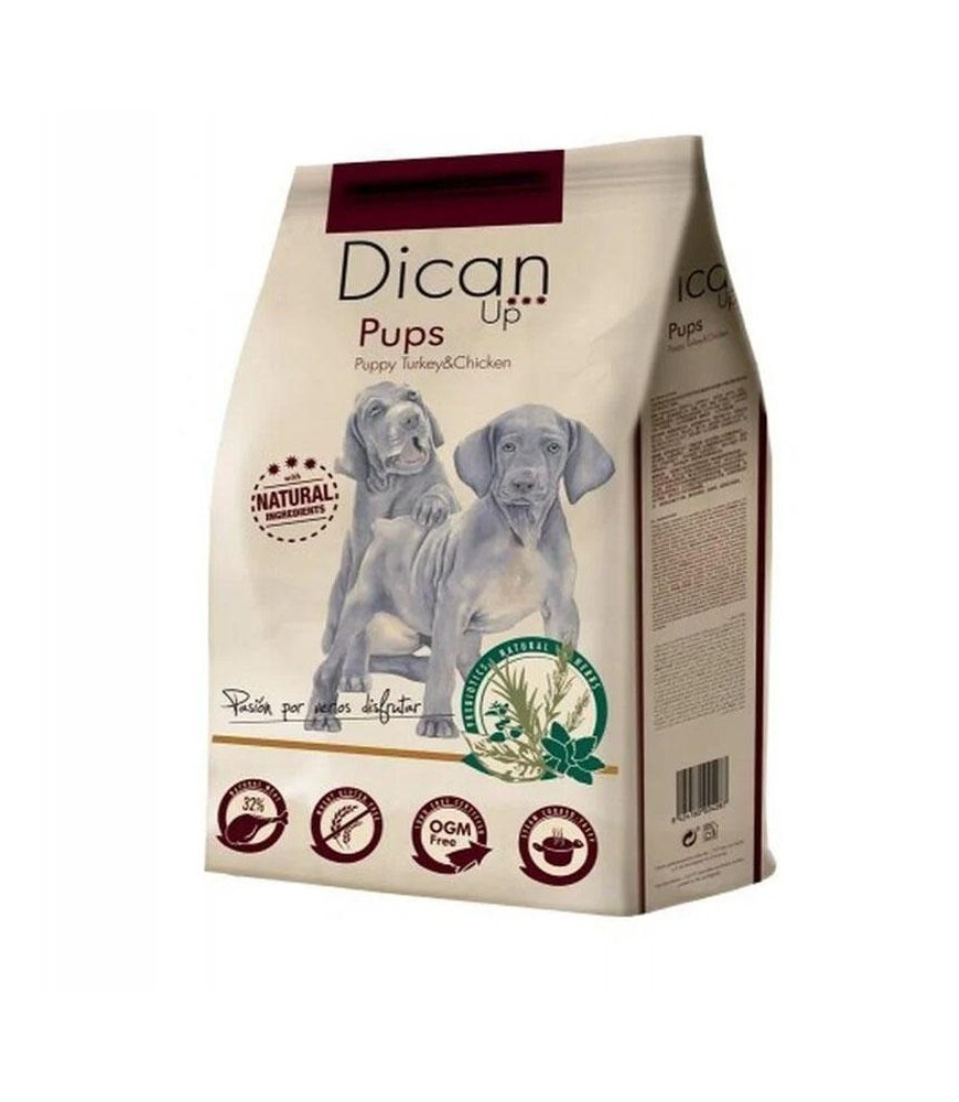 Dican Pups