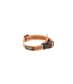 Collar engomado
