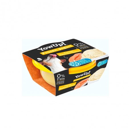 YowUp! Yogur helado Salmón Tártaro – 110 g