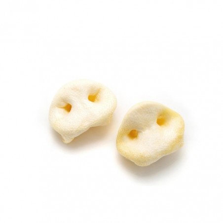 Morro de Cerdo – Snack natural para perros