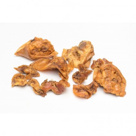 Gloria Oreja Interna de Cerdo – Snack natural perro