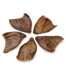 Arquivet Oreja de Cerdo – Snack Natural Perros
