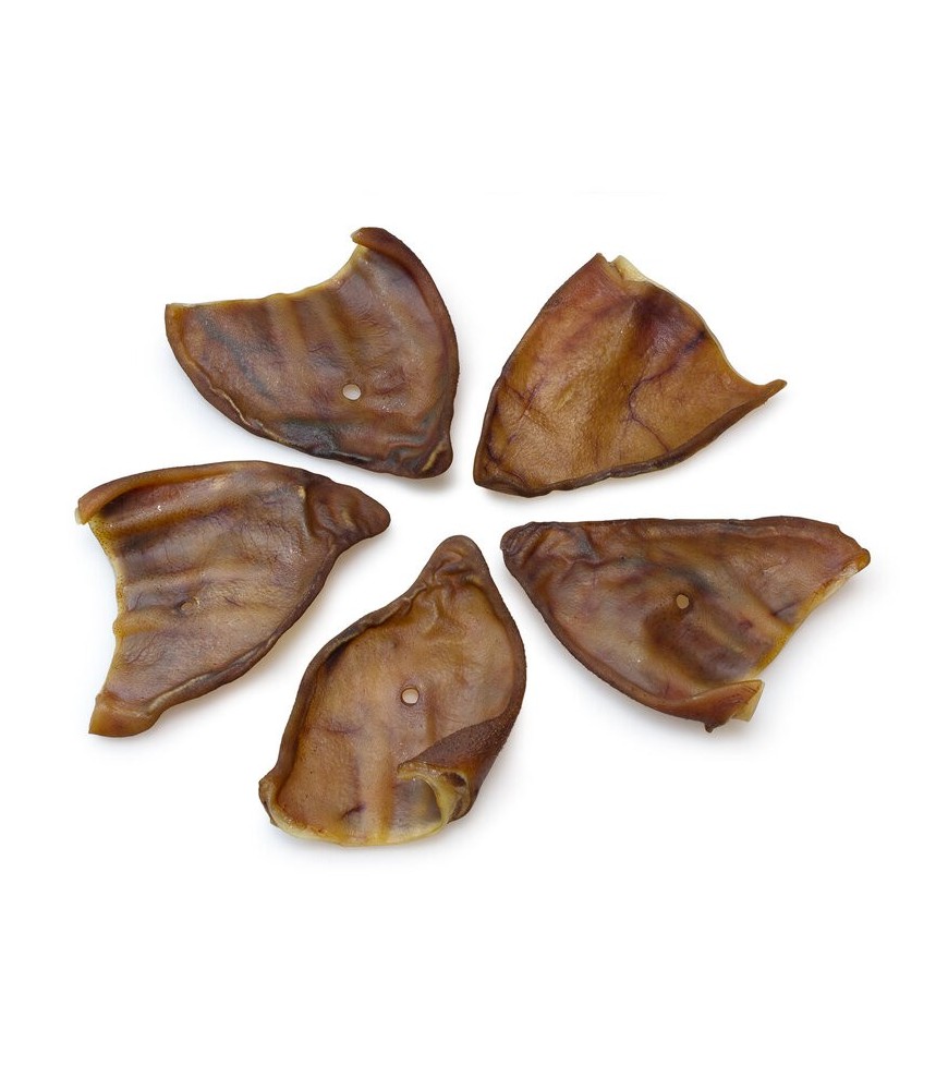 Arquivet Oreja de Cerdo – Snack Natural Perros
