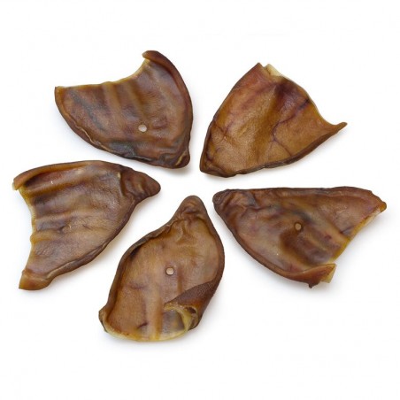 Arquivet Oreja de Cerdo – Snack Natural Perros