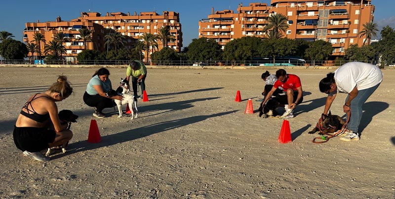 Manu impartiendo clase a dos perros